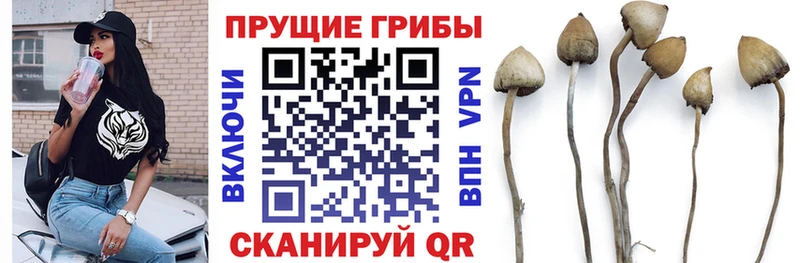 наркошоп Ленинск-Кузнецкий Галлюциногенные грибы GOLDEN TEACHER
